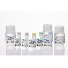 布魯氏菌含量檢測試劑盒CyFlow BrettCount